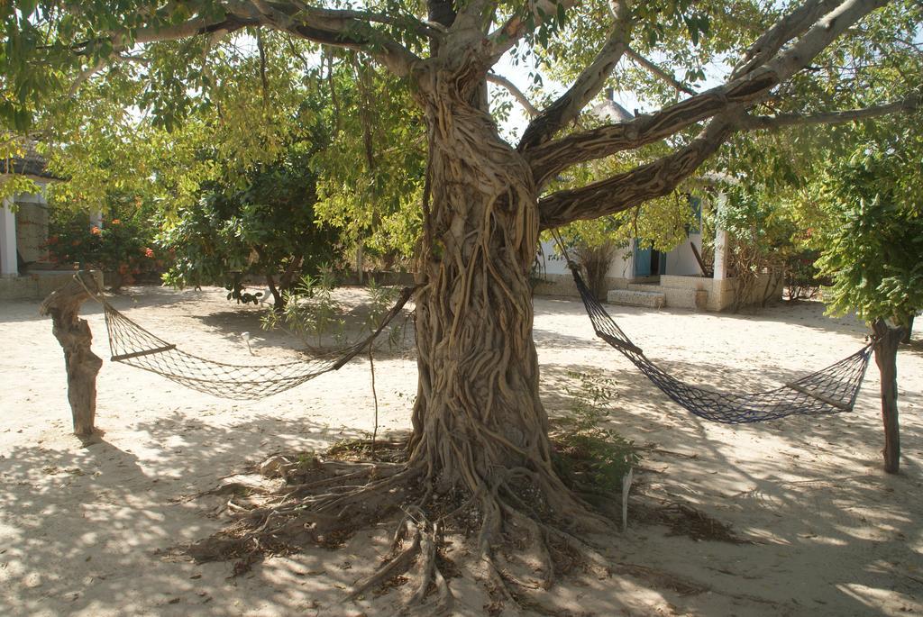 Bazouk Du Saloum Ecolodge Mar Lodj Номер фото